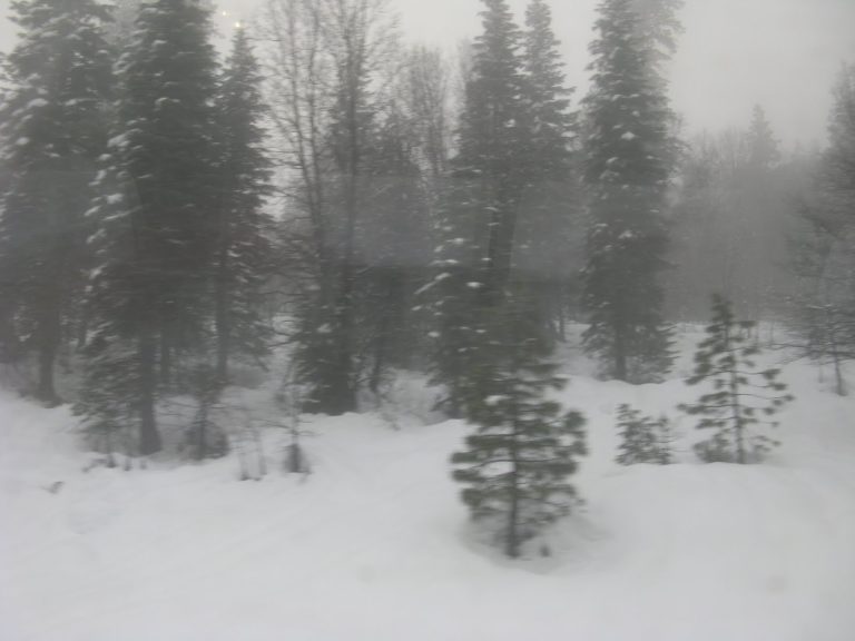 snow falling outside the train window