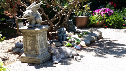 Cutie the Cat resting at the foot of a Gargoyle statue in the garden