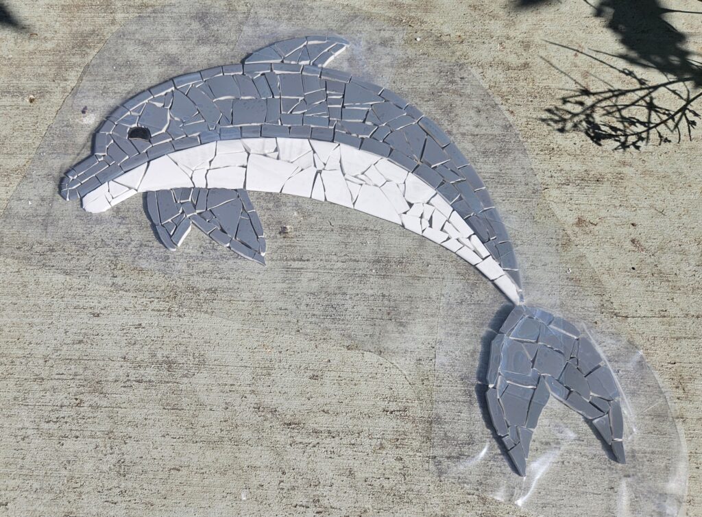 The Dolphin